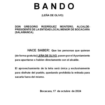 BANDO: Leña de Olivo – 17 octubre 2024