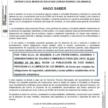 BANDO: Limpieza de Solares